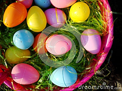 Eggs in a Basket Stock Photo