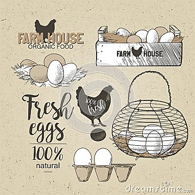 Eggs in basket Vector Illustration