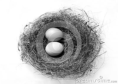 Eggs in bird nest Stock Photo