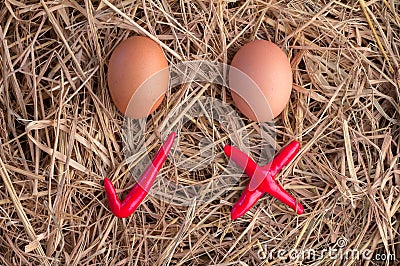 Eggs with check symbol Stock Photo