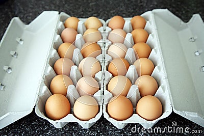 Eggs in an egg box Stock Photo