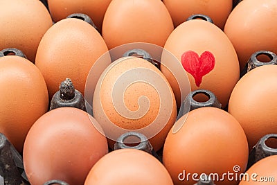 Eggs in an egg holder Stock Photo
