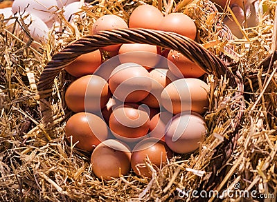 Eggs farm without GMOs on the market Stock Photo