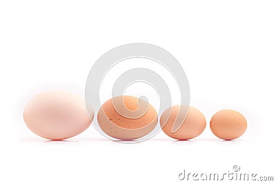 eggs - four chicken eggs of different sizes lined up Stock Photo
