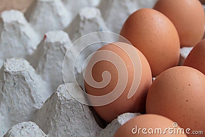Eggs. Stock Photo