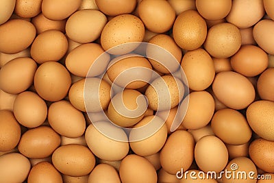 Eggs Stock Photo