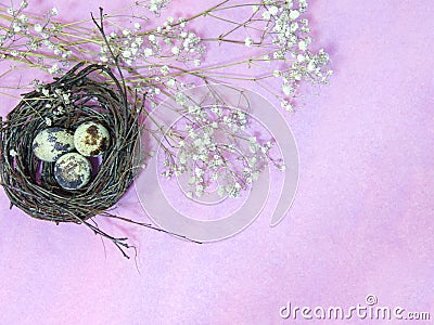 Eggs in nest, top view,background and copy space Stock Photo