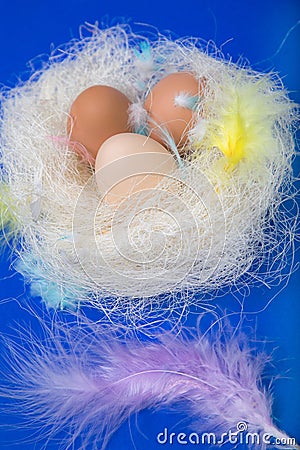 Eggs in the nest with feathers and decorated Stock Photo