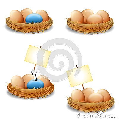 Eggs in Nest With Signs Cartoon Illustration