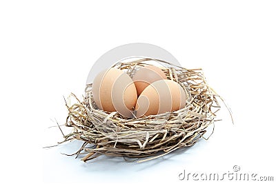 Eggs in nest Stock Photo