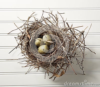 Eggs in Nest on Wood Stock Photo