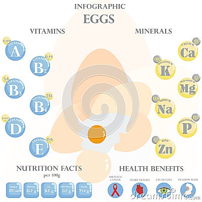 Eggs nutrition facts and health benefits infographic Vector Illustration