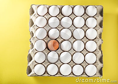 Ð­Eggs packed in cardboard or boxes for transporting Stock Photo