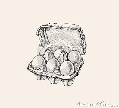 Eggs Packing Hand Drawn Illustration Isolated. Ink Drawing. Farm. Poultry farming Vector Illustration