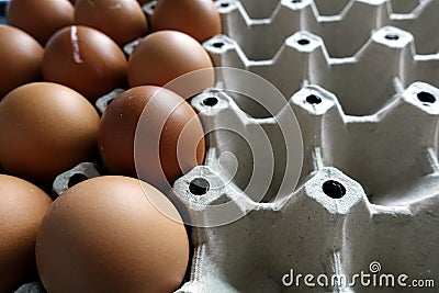Eggs in paper tray, half used. Close up. Stock Photo