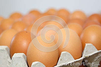 Eggs production line Stock Photo