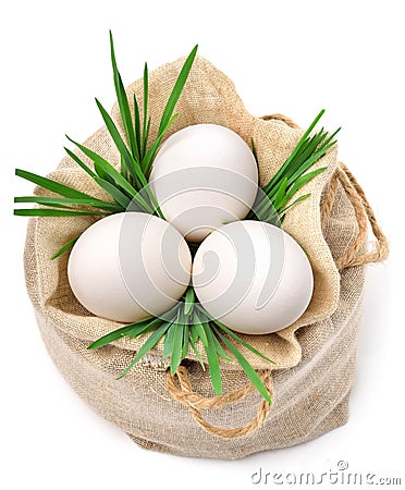 Eggs in the sack with green grass Stock Photo