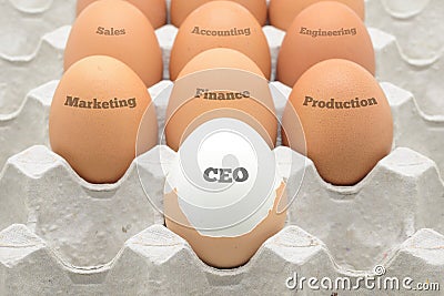 Eggs set up as company organization Stock Photo