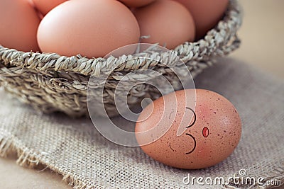 Eggs sleep Stock Photo