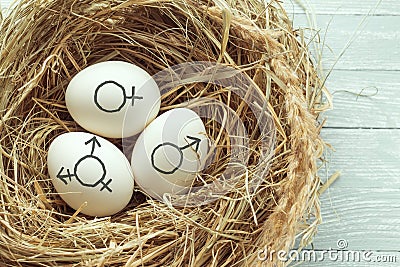 Eggs with symbol of transgender, female and male gender symbols Stock Photo