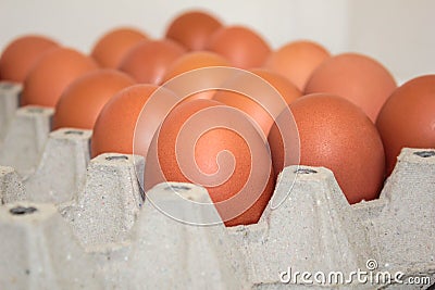 Eggs Stock Photo