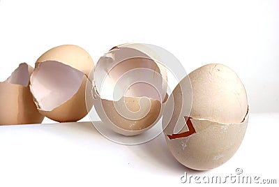 Eggshell 1 Stock Photo