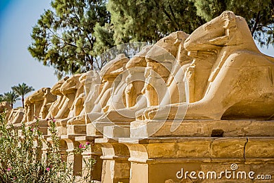 Avenue of the sphinxes Stock Photo