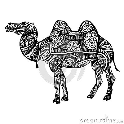 Egypt camel desert illustration animal nature travel sand Vector Illustration