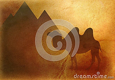 Egypt camel and pyramids background Stock Photo