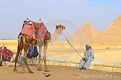 Egypt. Giza. Camel near the pyramids Editorial Stock Photo