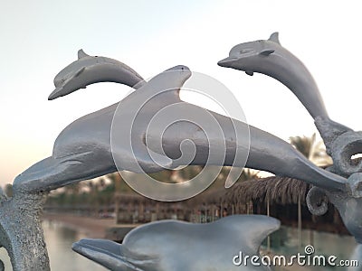 Egypt, Hurghada July 2019: Dolphins flock Editorial Stock Photo