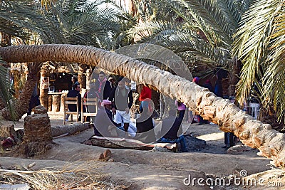 Egypt, Siwa oasis, Sea side, Sun set, trees Editorial Stock Photo