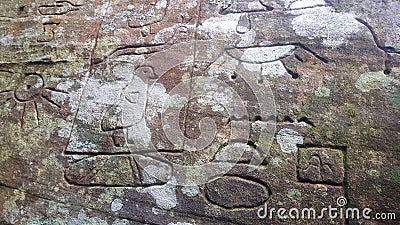 Petroglyphs carved into rocks at Gosford Australia Stock Photo