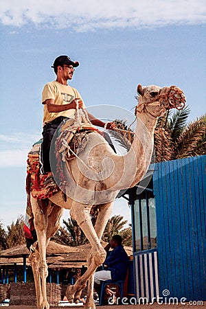 Egyptian man on a camel ride Editorial Stock Photo