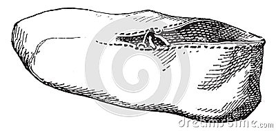 Egyptian shoe without a sole, vintage engraving Vector Illustration