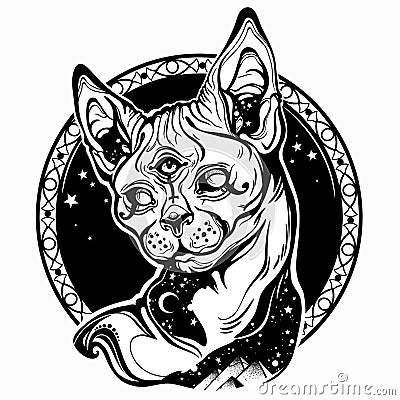 Egyptian sphynx cat on the background of stars Vector Illustration