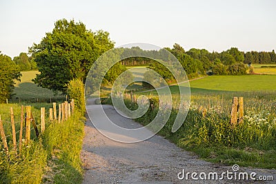 Eifel Field Lanes In Warm Evening Light, Germany Stock Photo