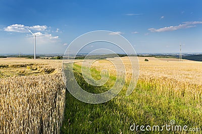 Eifel Summer Fields, Germany Stock Photo
