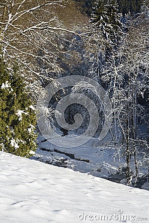 Eifel Winter Valley And River, Germany Stock Photo