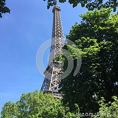Eiffel Tower hidden by trees Stock Photo