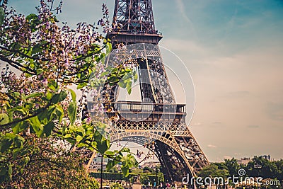 The Eiffel Tower in Paris, France. Stock Photo