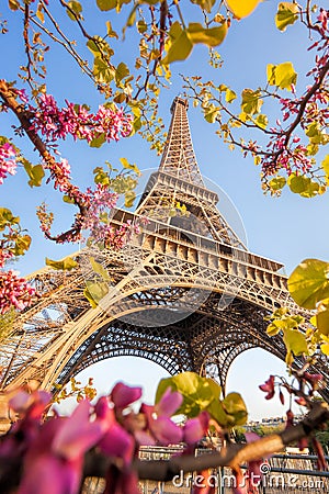 Eiffel Tower during spring time in Paris, France Stock Photo