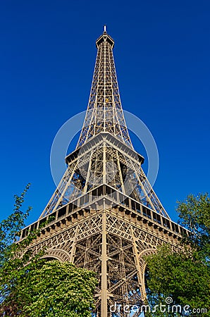 Eiffel Tower and Trees Stock Photo