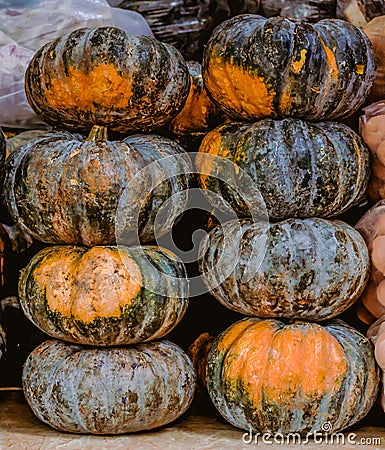 Eight big pumpkins Stock Photo