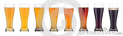 Eight glasses with various beers on a white background. Stock Photo