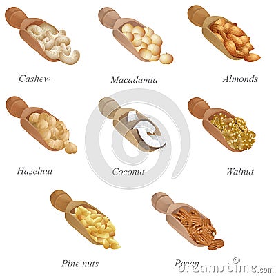 Eight shovels with nuts in them. Part one Vector Illustration