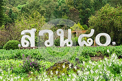 Eighty garden at doi Ang Khang,Chiang Mai Thailand Stock Photo