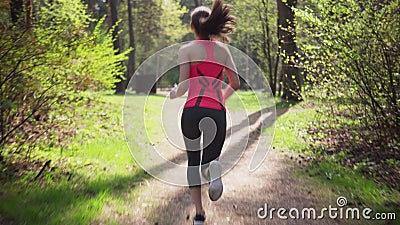 Eignungsfrau, die im Frühjahr sonnigen Wald laufen lässt stock video Eignungsfrau, die im Frühjahr sonnigen Wald laufen lässt stock video