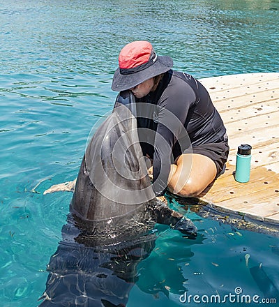 Kissing a Dolphin in Israel Editorial Stock Photo