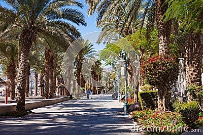 Eilat Promenade Editorial Stock Photo